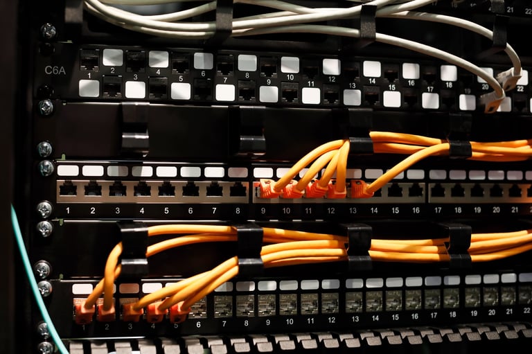 Indoor network cabinet with CAT6A patch panels and cable management.